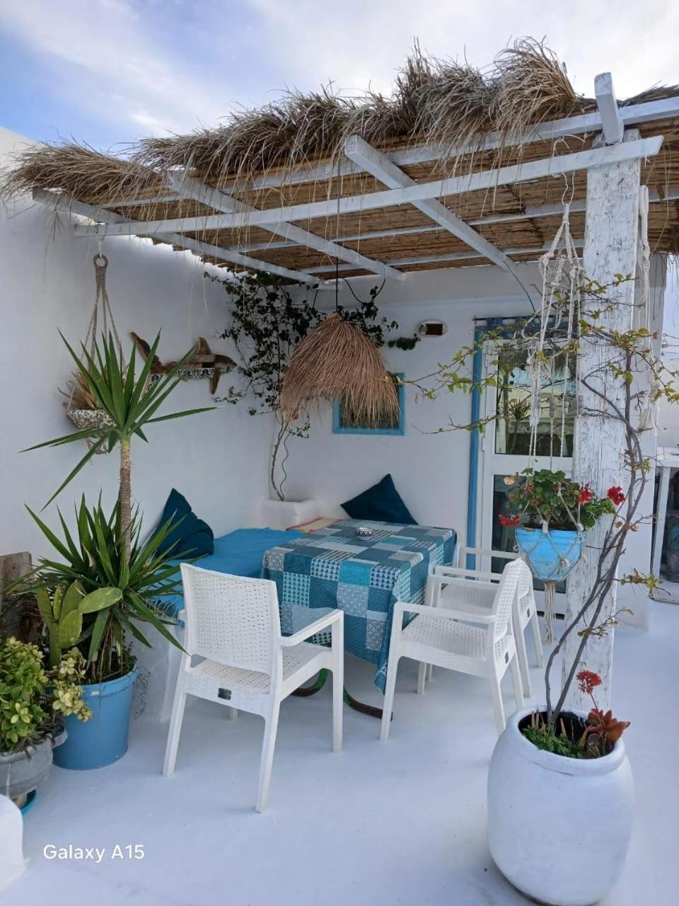 Dar Evelyne By Daldoul Hotel Mahdia Buitenkant foto